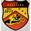 logo PATAVINA